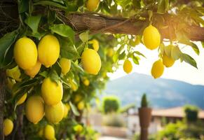 ai genererad citroner växande i en solig trädgård på amalfi kust i Italien. ai genererad foto