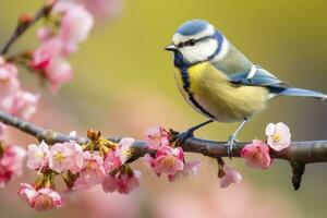 ai genererad en bluetit fågel vilar på de gren av en träd. ai genererad. foto