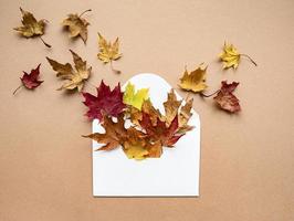 kuvert med torkade löv på pastellbrun bakgrund foto
