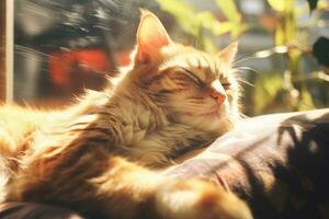 ai genererad porträtt av en lat katt liggande ner i de solig, tupplur och drömmer, ai generativ foto