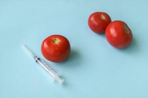 tomat och spruta med gmo på en blå bakgrund. foto