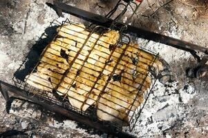 marinerad kyckling vingar på en tråd kuggstång, grillad över träkol. foto