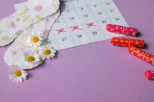 menstruations- dynor och tamponger på menstruation period kalender med chamomiles på rosa bakgrund. foto