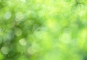 solig abstrakt grön naturbakgrund, selektiv fokus foto