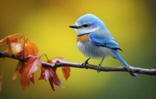 ai genererad söt liten fågel med en natur bakgrund. ai genererad. foto