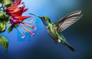 ai genererad kolibri fågel flygande Nästa till en skön röd blomma med regn. ai genererad foto