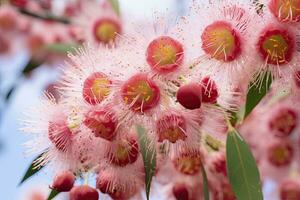 ai genererad skön gummi träd rosa blommor och knoppar. ai genererad foto