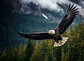 ai genererad amerikan skallig Örn i de natur bakgrund foto