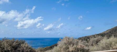 panorama- se av en lugn kustlinje med blå hav under en molnig himmel, kantad förbi frodig buskage. foto