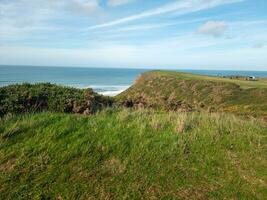 kust landskap med grön gräs- klippa och blå hav under en klar himmel. foto