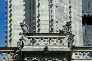 de Fantastisk gargoyles av notre dame de paris i Frankrike. en gotik byggnad konstruerad under medeltida gånger, är Hem till en siffra av skulpturer, Inklusive många gargoyler. foto