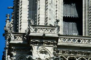 de Fantastisk gargoyles av notre dame de paris i Frankrike. en gotik byggnad konstruerad under medeltida gånger, är Hem till en siffra av skulpturer, Inklusive många gargoyler. foto