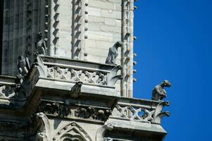 de Fantastisk gargoyles av notre dame de paris i Frankrike. en gotik byggnad konstruerad under medeltida gånger, är Hem till en siffra av skulpturer, Inklusive många gargoyler. foto