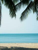 landskap sommar panorama framifrån tropiska palmer och kokospalmer hav strand blå vit sand himmel bakgrund lugn natur hav vacker våg vatten resa bangsaen strand öst thailand chonburi foto