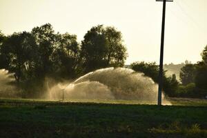 bevattning systemet i fält av meloner. vattning de fält. sprinkler foto