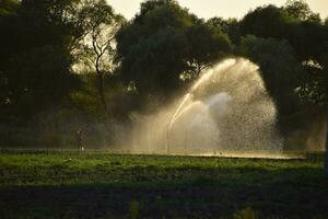 bevattning systemet i fält av meloner. vattning de fält. sprinkler foto