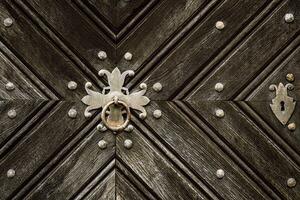 trä- dörr med järn handtag. gammal trä- dörr. detalj av en trä- bakgrund. foto