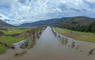 Drönare bild av de tysk flod huvud under en översvämning med översvämmad träd på de banker foto