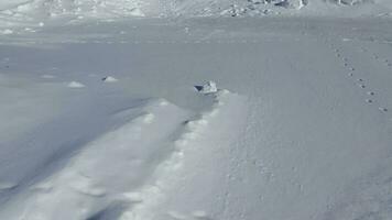 snöig enkel. snö yta. vinter- snöig landskap foto