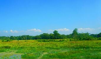 grön gräs- fält blå himmel moln i solljus i sommar landskap bakgrund bild. foto