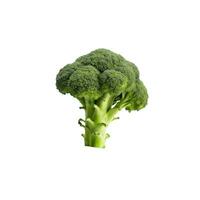 ai genererad färsk och hälsosam broccoli isolerat på vit bakgrund för kulinariska inspiration foto