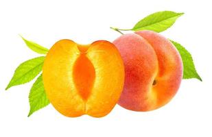 isolerade aprikoser färska aprikosfrukter isolerade på vit bakgrund foto
