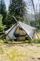 colorado weminuche vildmark älg läger tält foto