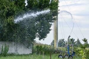 bevattning systemet vattning i de trädgård. vattning de plantor i de parkera. vattning de fält. sprinkler. foto