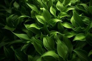 ai genererad dynamisk skönhet fängslande bild av grön löv graciöst suspenderad i de luft ai genererad foto