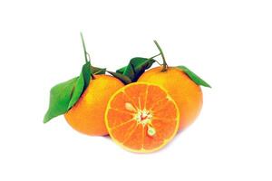 isolerat organisk orange frukt gyllene olika sorter på en vit bakgrund foto