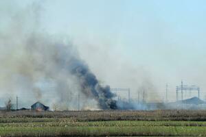 brand på bevattning kanaler foto