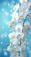 ai genererad vit orkidéer bukett mot en gnistrande blå bakgrund med bokeh. med kopia Plats. idealisk för affisch, hälsning kort, händelse inbjudan, befordran, reklam, skriva ut, elegant design foto