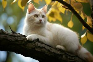 ai genererad charmig syn en vit katt på en träd gren symboliserar lugn, naturlig elegans foto