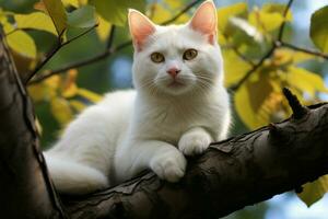ai genererad träd- charm en vit katt på en träd gren lägger till en Rör av elegans foto