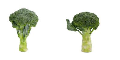 isolerat färsk grön broccoli på vit foto