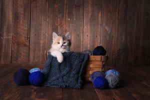 kattunge i en korg med stickgarn på träbakgrund foto