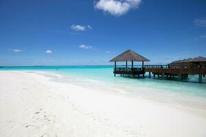 skön tropisk maldiverna ö scen blå hav, blå himmel Semester semester vertikal bakgrund. trä- väg, pir. Fantastisk sommar resa begrepp. hav bukt handflatan träd sandig strand. exotisk natur foto