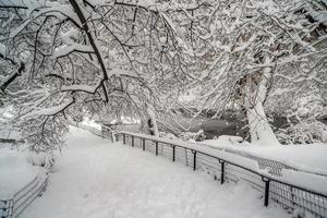 central park på vintern, central park, nyc foto