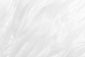 skön vit fjäder ull mönster textur bakgrund foto