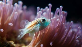 ai genererad färgrik clown fisk simning i en tropisk rev genererad förbi ai foto