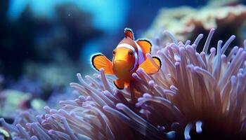 ai genererad clown fisk simma i vibrerande rev, under vattnet skönhet genererad förbi ai foto