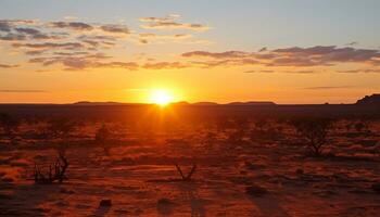 ai genererad silhuett av akacia träd på afrikansk solnedgång genererad förbi ai foto