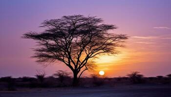 ai genererad silhuett av akacia träd i afrikansk solnedgång genererad förbi ai foto