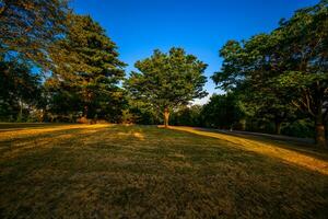 poughkeepsie högskola kulle parkera foto