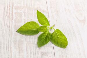 rå grön basilika löv krydda foto