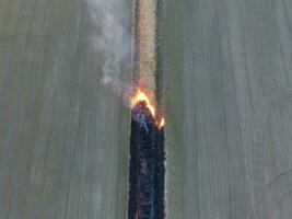 brinnande torr gräs längs de bevattning kanal. rök och de flamma av torr gräs. bränd torr gräs. foto