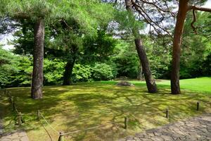 en japansk trädgård på de offentlig grön parkera bred skott foto