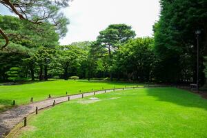 en japansk trädgård på de offentlig grön parkera bred skott foto