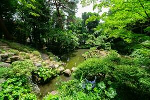 en japansk trädgård damm på tonogayato trädgård i sommar solig dag foto