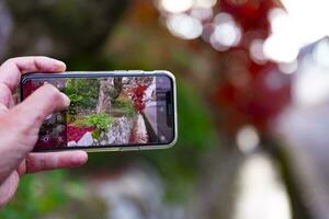 en smartphone skytte staplade upp röd löv i de smal ränna i höst foto